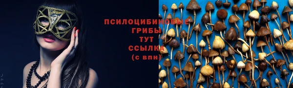 не бодяженный Аркадак