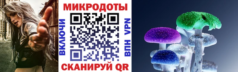 Галлюциногенные грибы Magic Shrooms  что такое   Тейково 